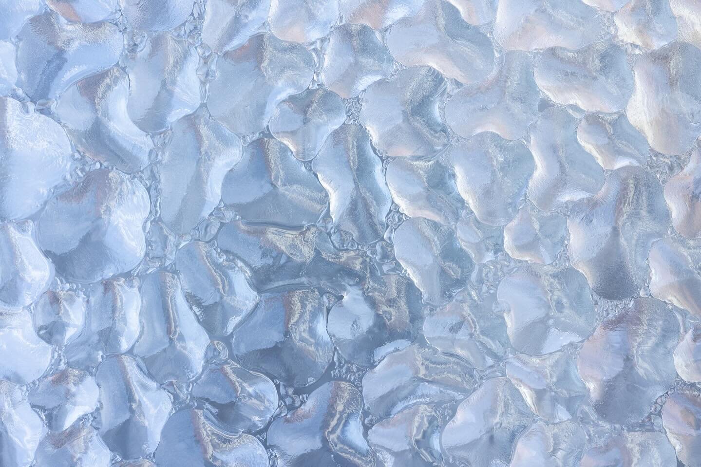 Backyard ice. Fancy patterns. ❄️