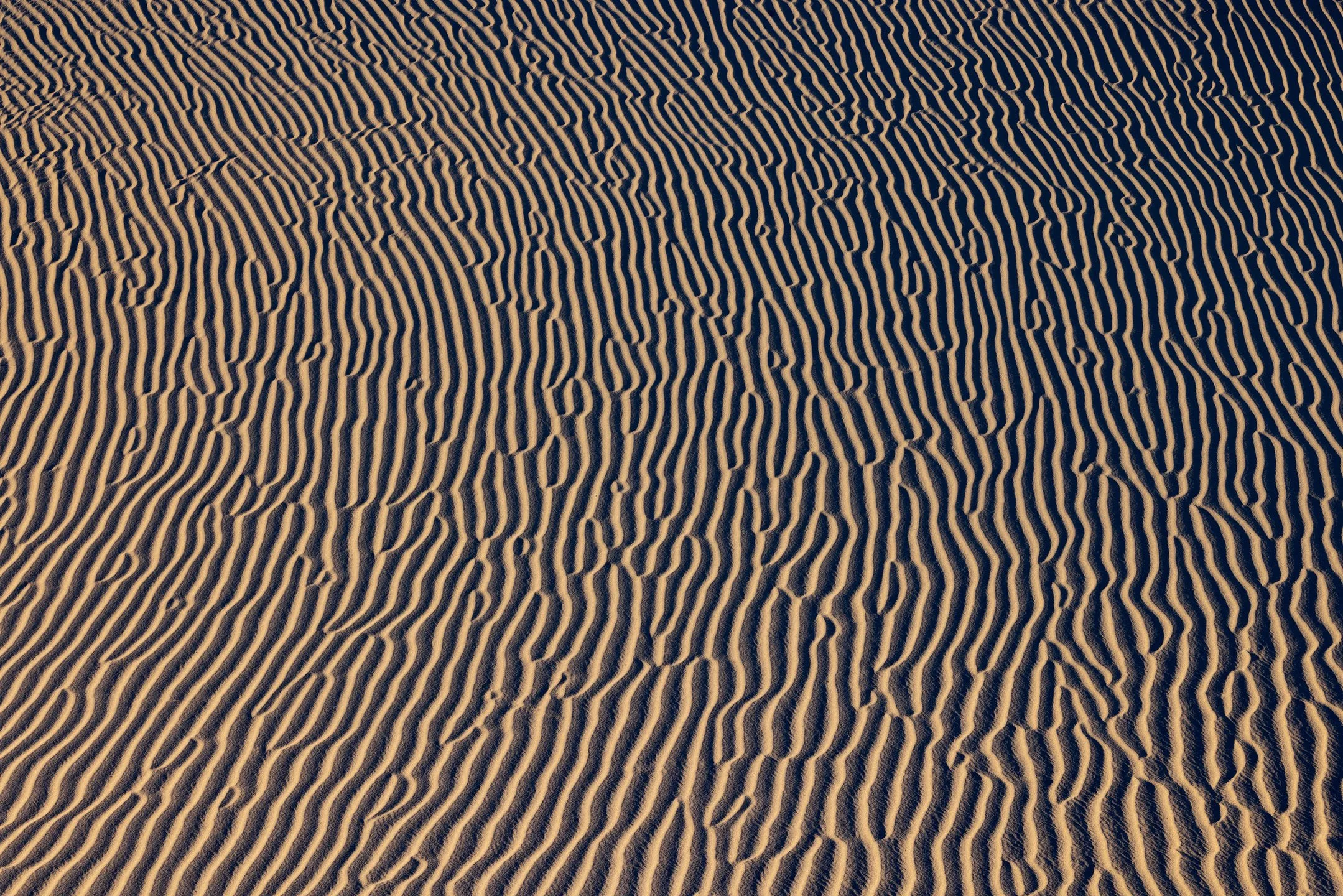 So Many Sand Ripples