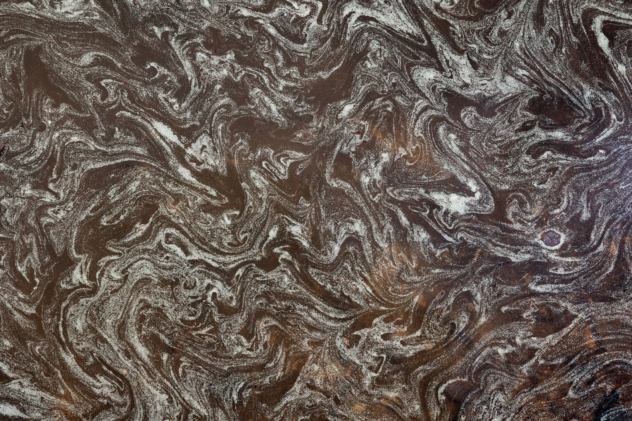 Pollen Puddle