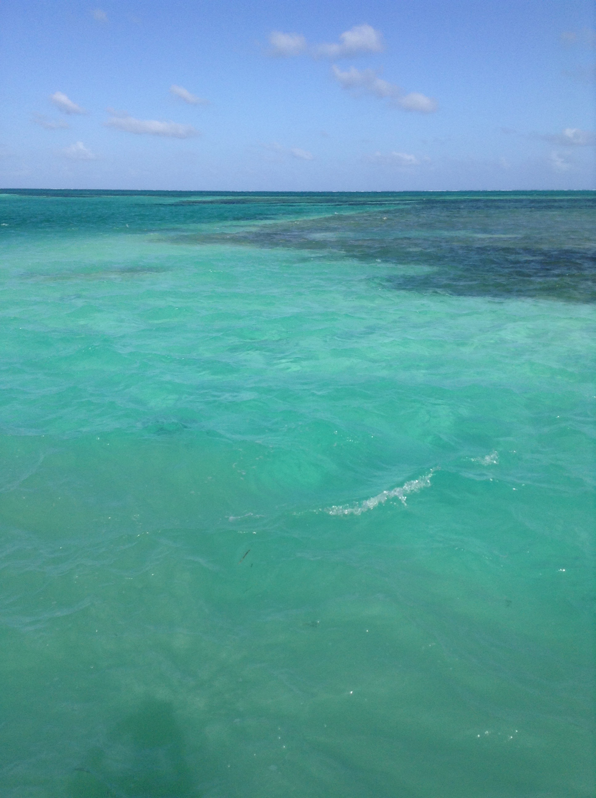 belize 2014 - 23.jpg