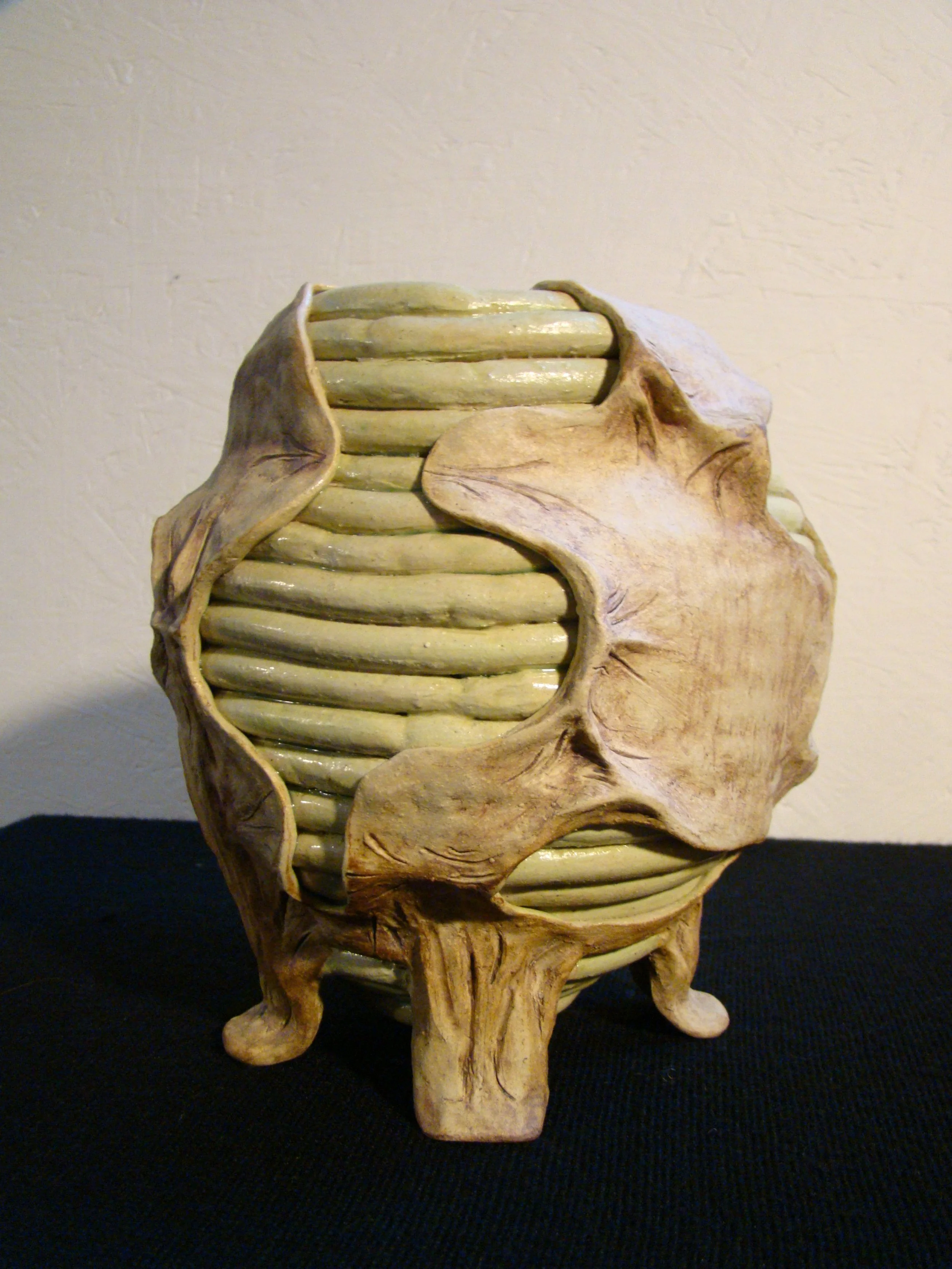 Skin Vase2.JPG