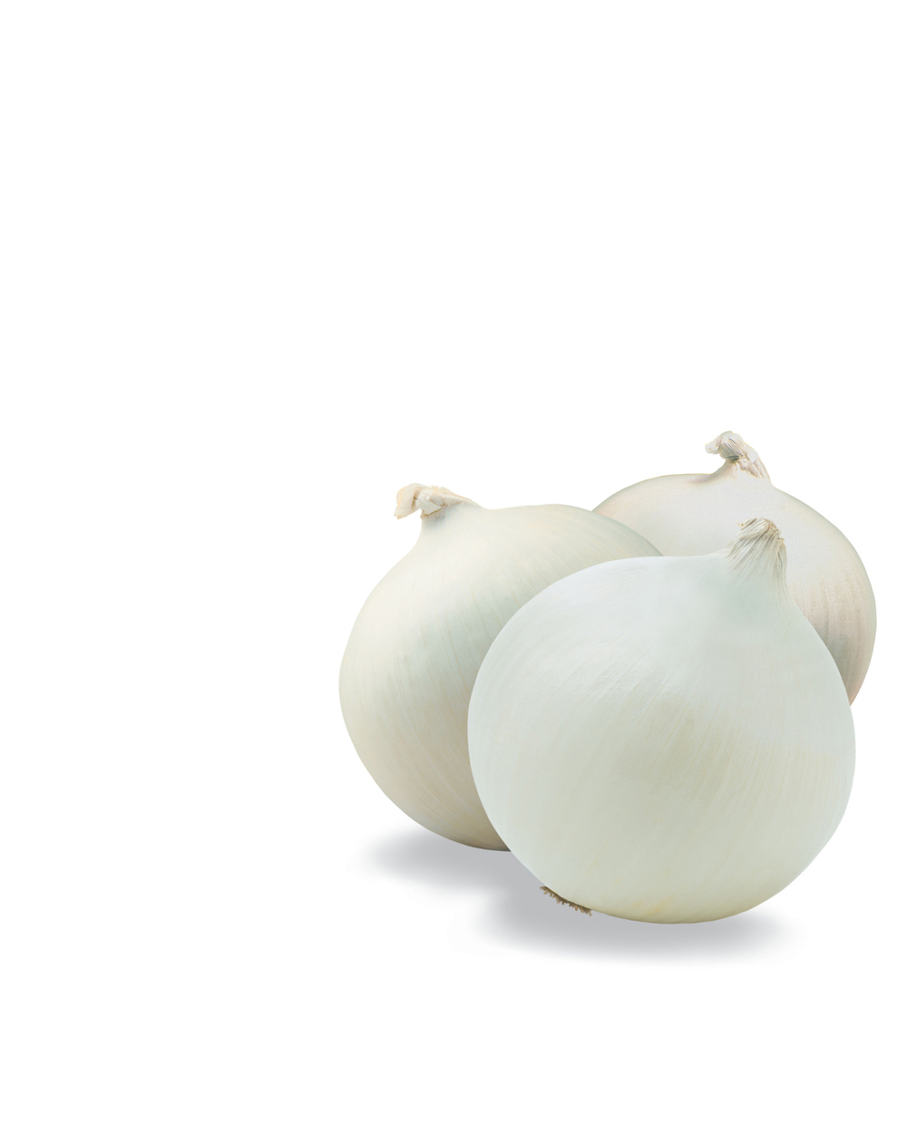 white_onions copy.jpg