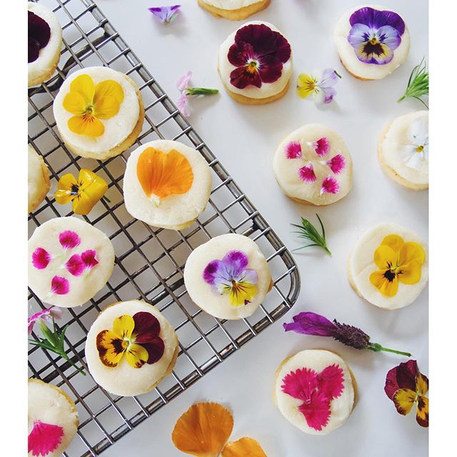 5.Edible-flower-cookies-complete-with-a-sugar-free-and-vegan-fondant-icing-I-posted-the-recipe-up-on-w.jpg