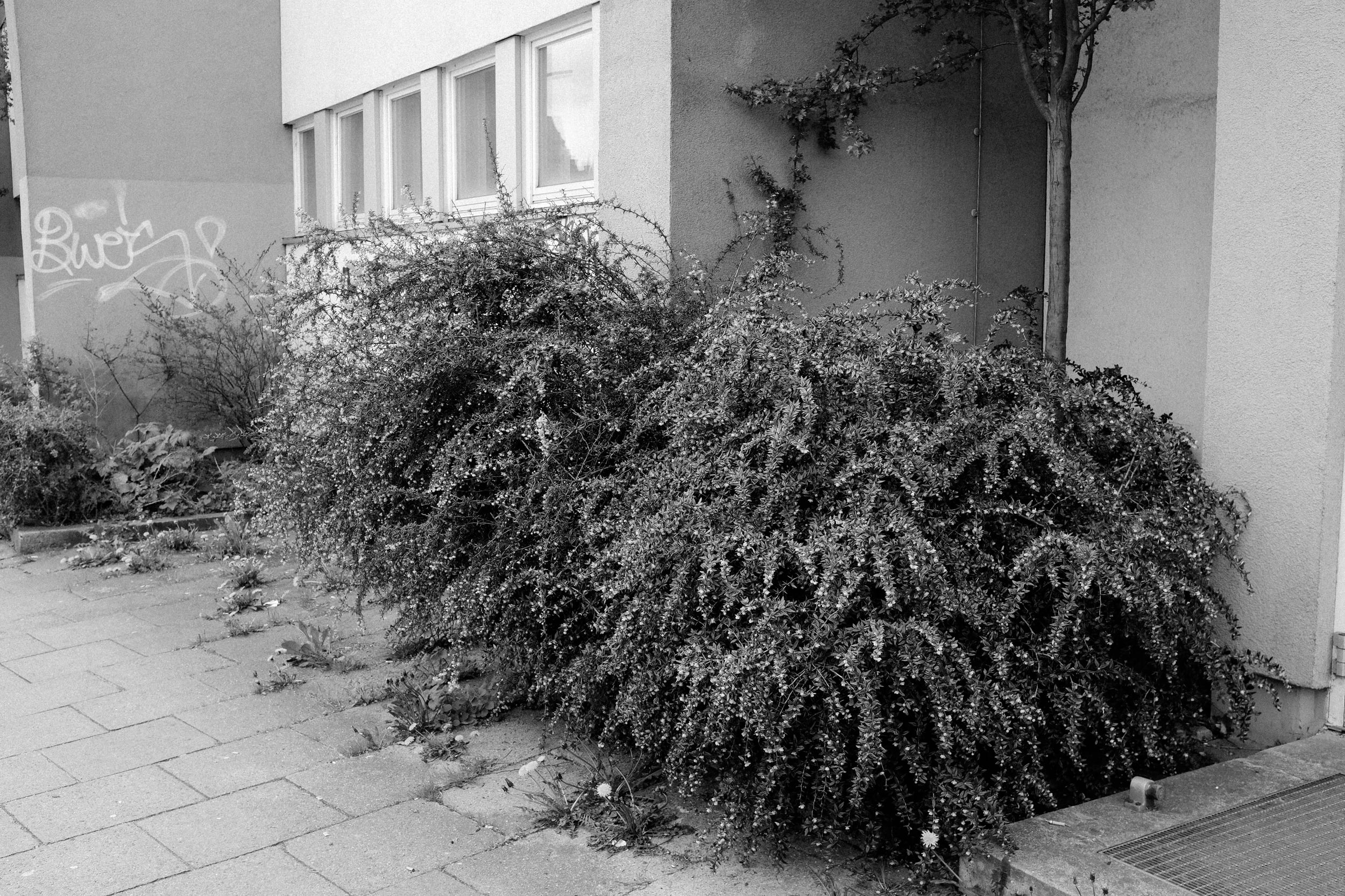 15 May (24 of 131).jpg
