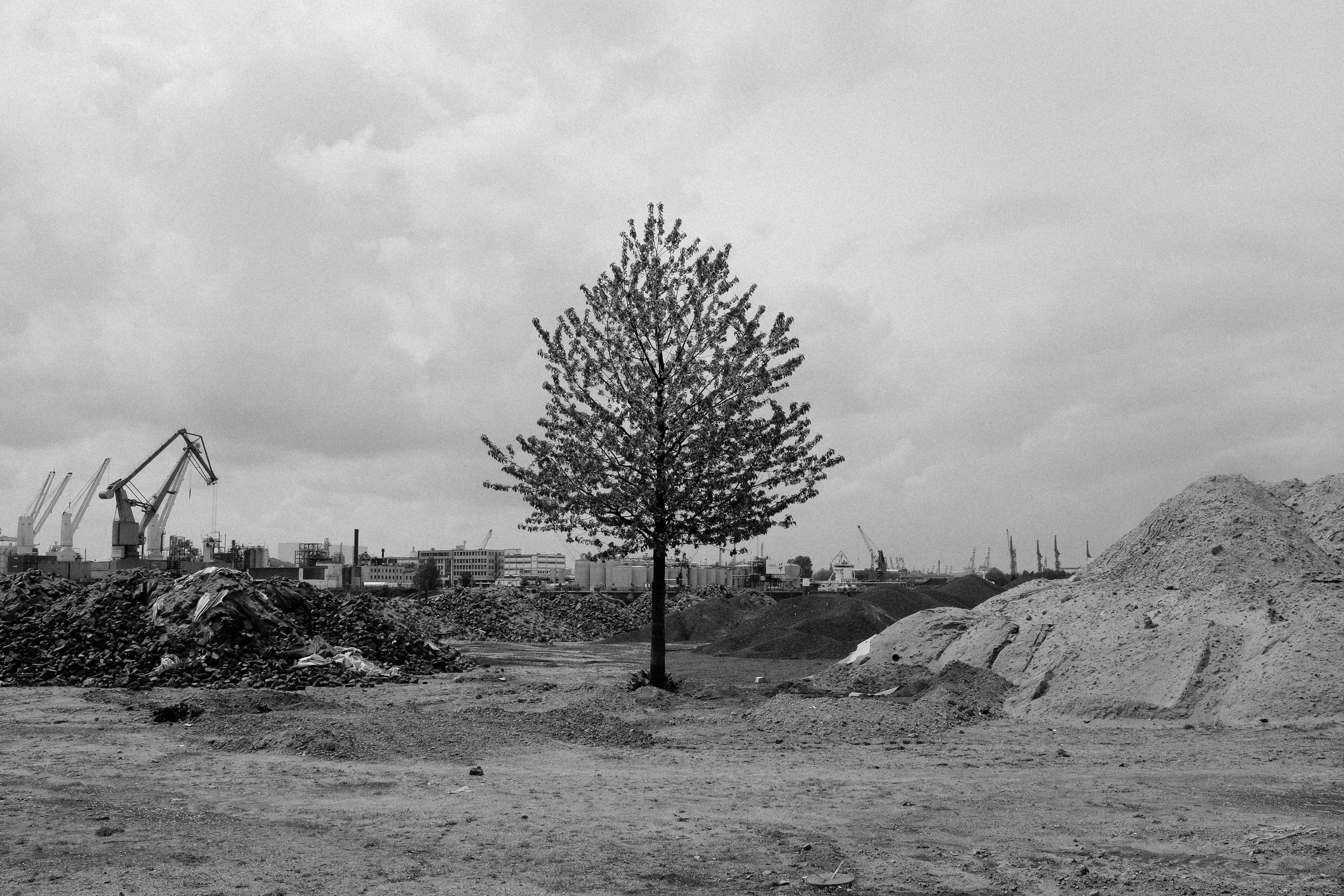 15 May (89 of 131).jpg