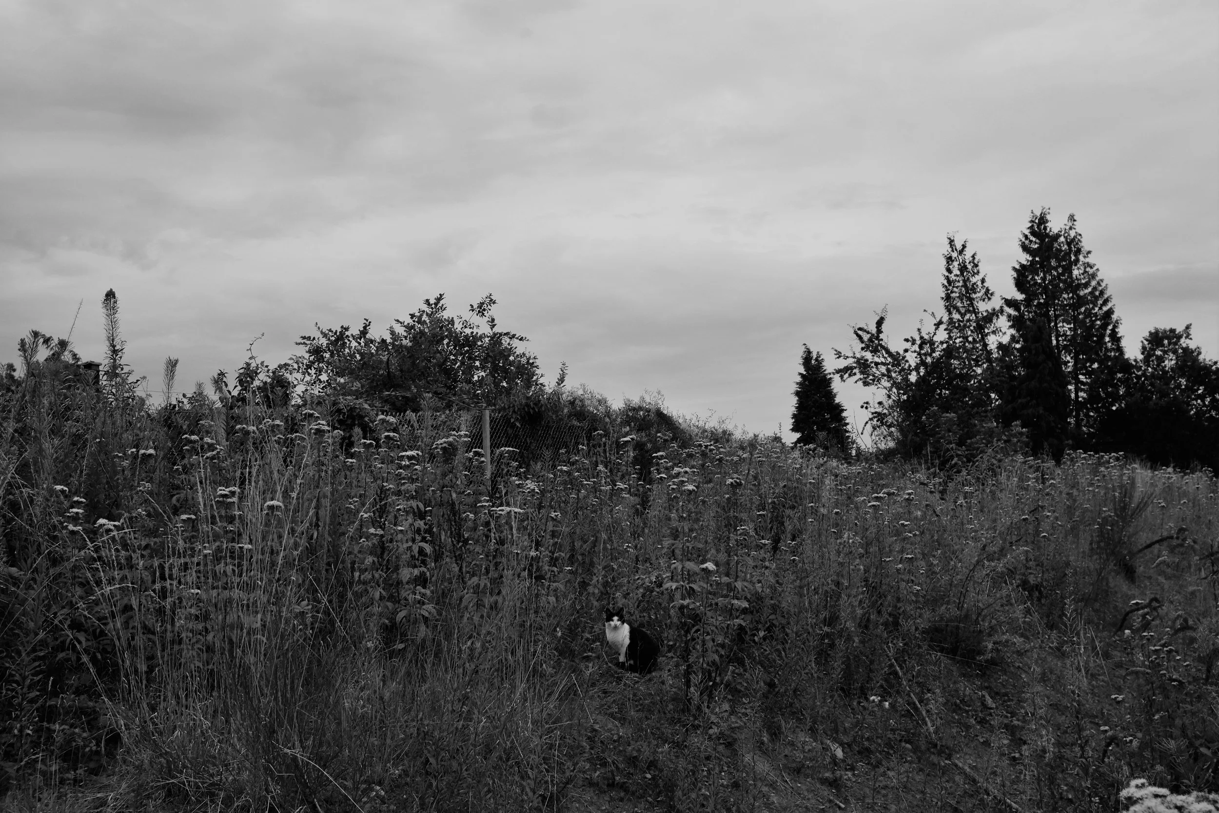 DSCF3473.JPG
