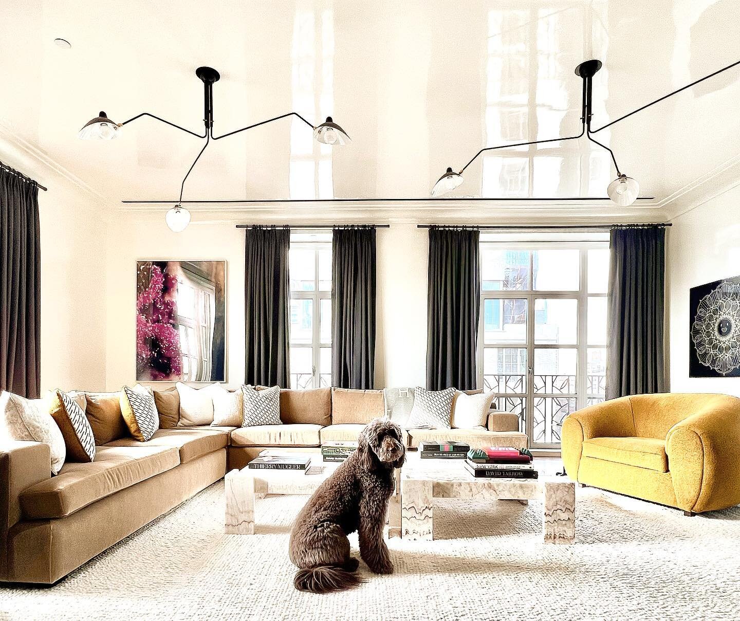 Excited to share a little glimpse into our #uppereastside #duplex in the sky | more to come in #2023 [Mocha is the queen in this castle] #interiordesign #nyc  #style #lacquer