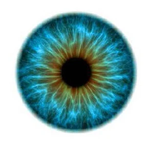 TAM-More Eyes2.jpg