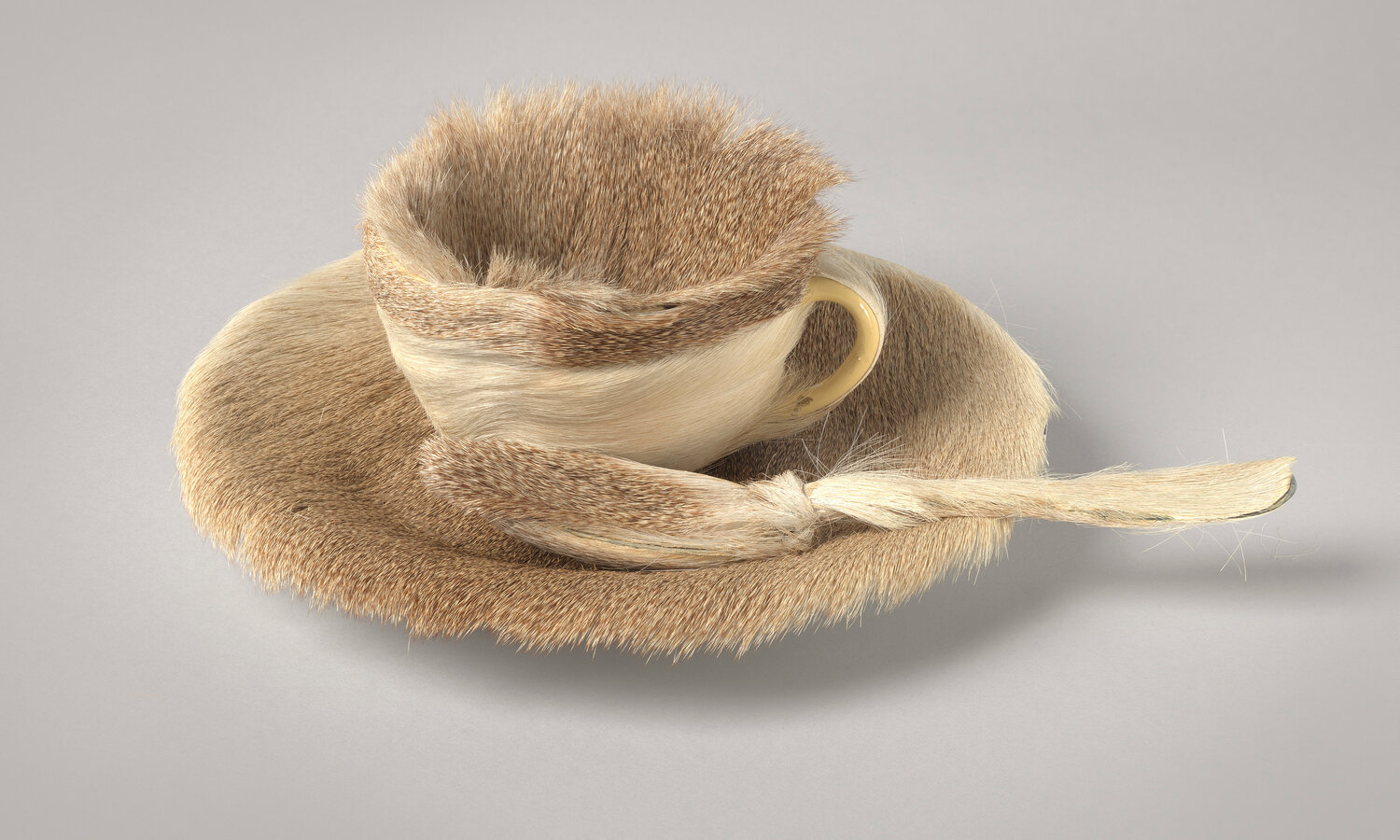 Méret Oppenheim, Object (Le Déjeuner en fourrure), Paris, 1936,Fur-covered cup, saucer, and spoon, cup 4-3/8 inches in diameter; saucer 9-3/8 inches in diameter; spoon 8 inches long, overall height 2-7/8" (The Museum of Modern Art)