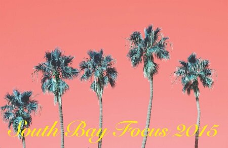 SOUTH BAY FOCUS 2015