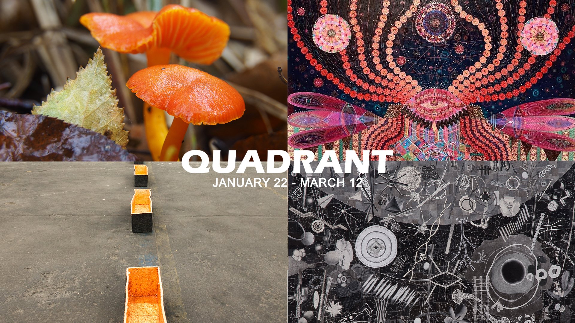 QUADRANT