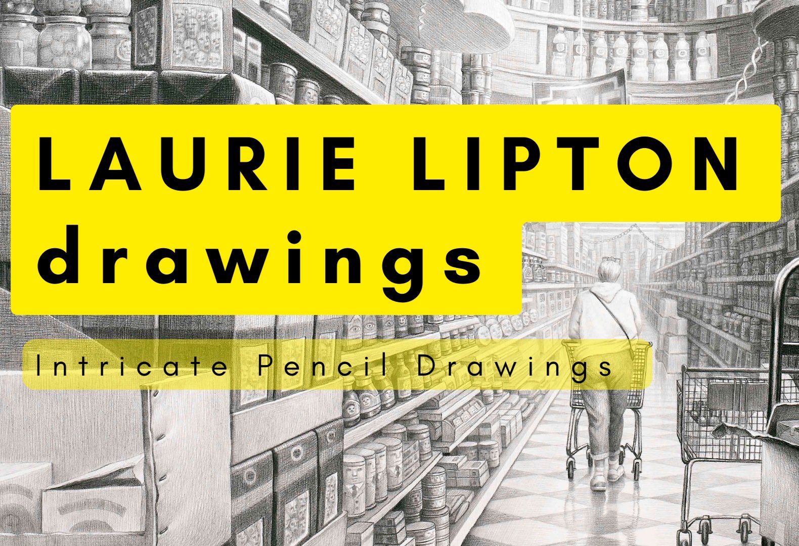 LAURIE LIPTON drawings