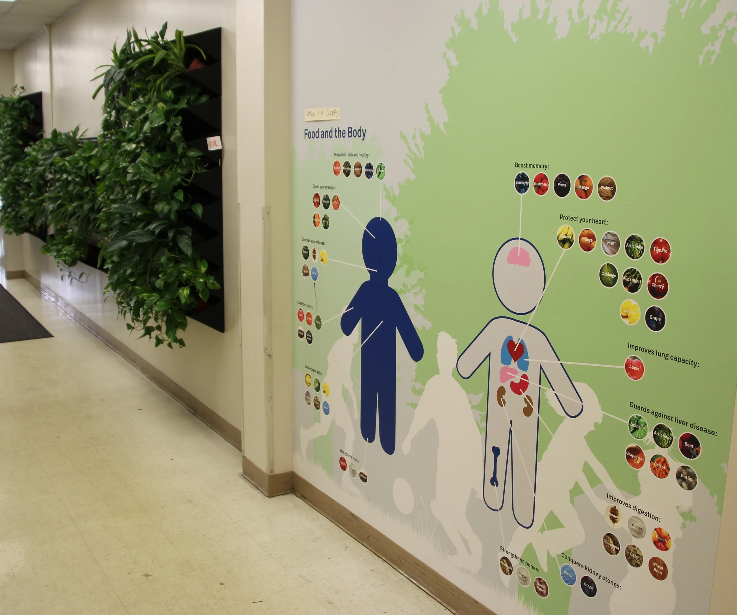 Food and the Body&nbsp;is an information graphic positioned by the cafeteria entrance -- an idle place where kids usually wait before lunch, and makes it more active, by teaching the ways foods benefit our bodies.&nbsp;