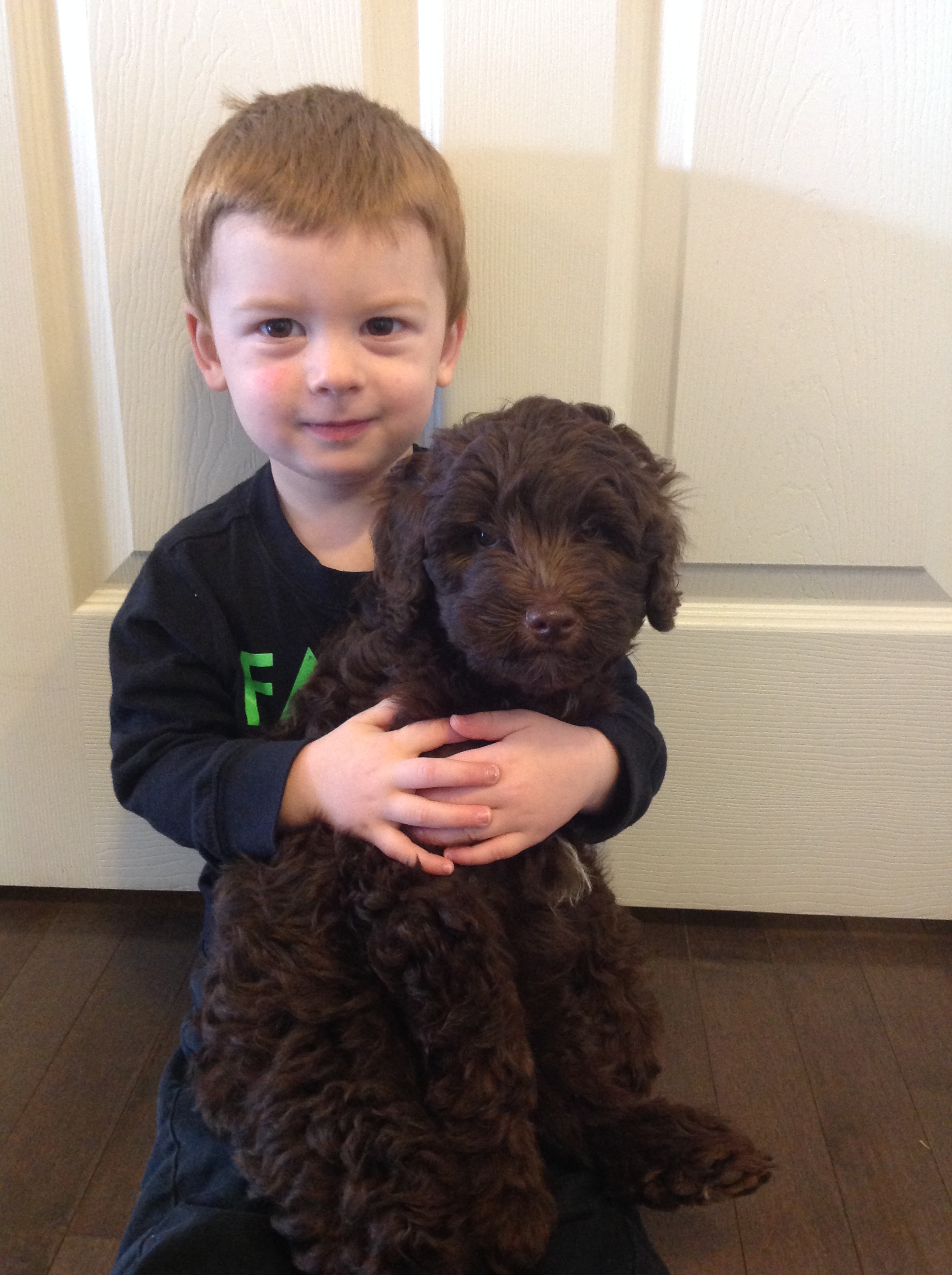 Lebron is growing great and loves his family. Check out our past litters page for more pictures.