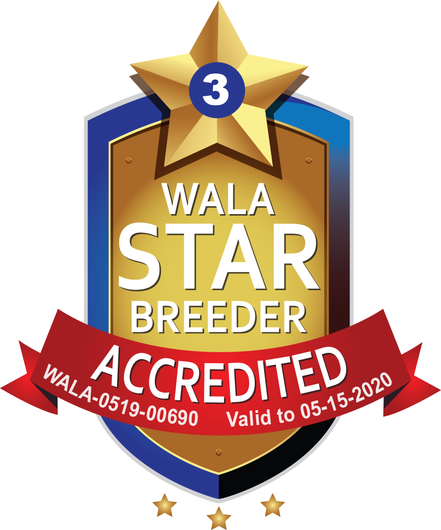 Bow Valley WALA Star Logo-0519-00690.png