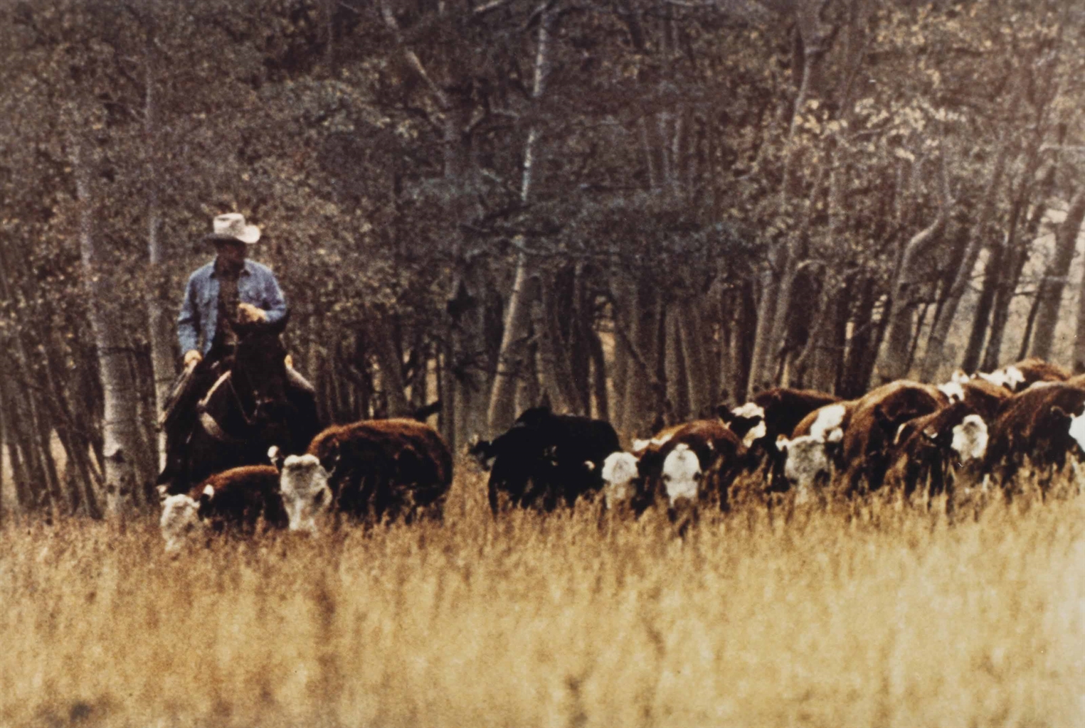 Richard Prince (B. 1949) Untitled (Cowboy) signed, inscribed and dated 'R Prince AP 1980-86' (lower right) Ektacolor print mounted to board image: 27 1/4 x 39 7/8 in. (69.2 x 101.2 cm.) Executed in 1980-86. This work is the artist's proof aside from an edition of two plus one artist's proof and is accompanied by a certificate of authenticity signed by the artist.
