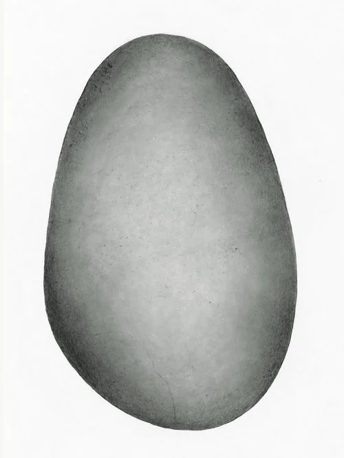 Dark Stone of White Wash Petecia Le Fawnhawk Desert Elements at MWFA.jpg