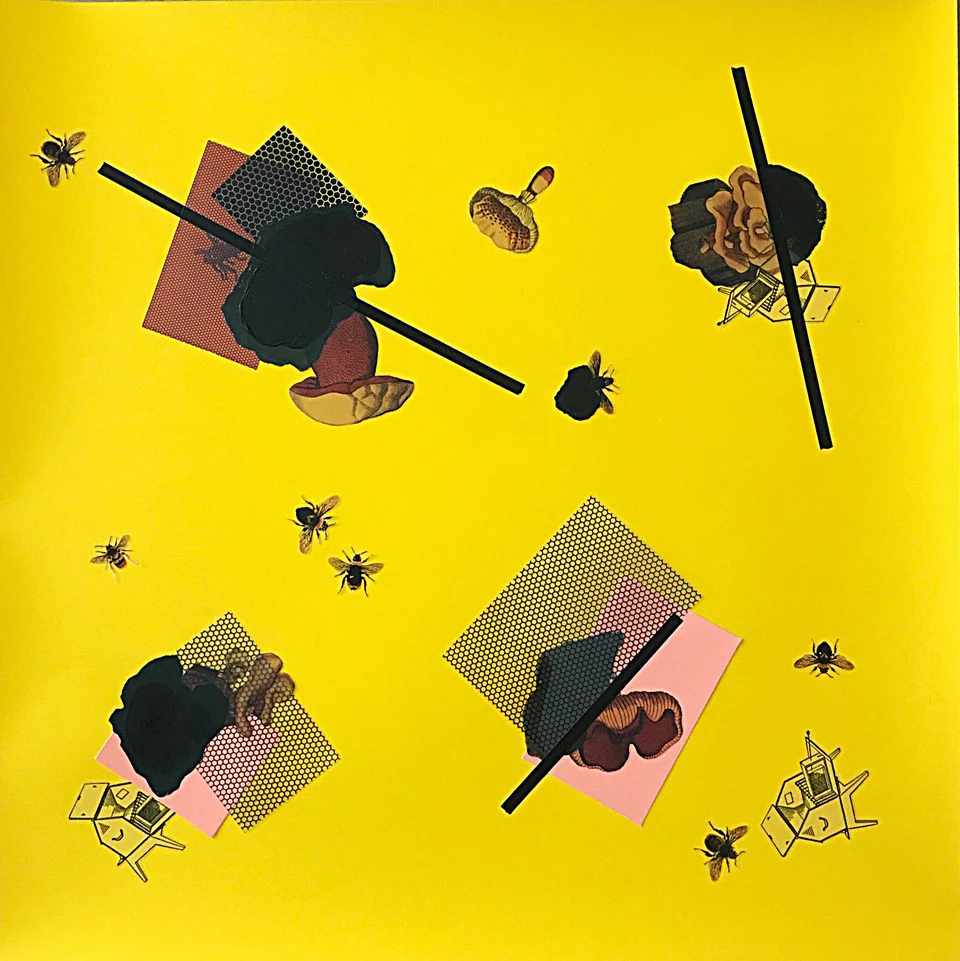 Carol Sogard Reishi Bees mixed media, coloraid, 19 x 19 in.