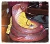 cobra.wacky.wire.carnival.games.carnival.times.kc.jpg
