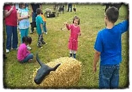 calf.roping.carnival.games.kc.mo.jpg