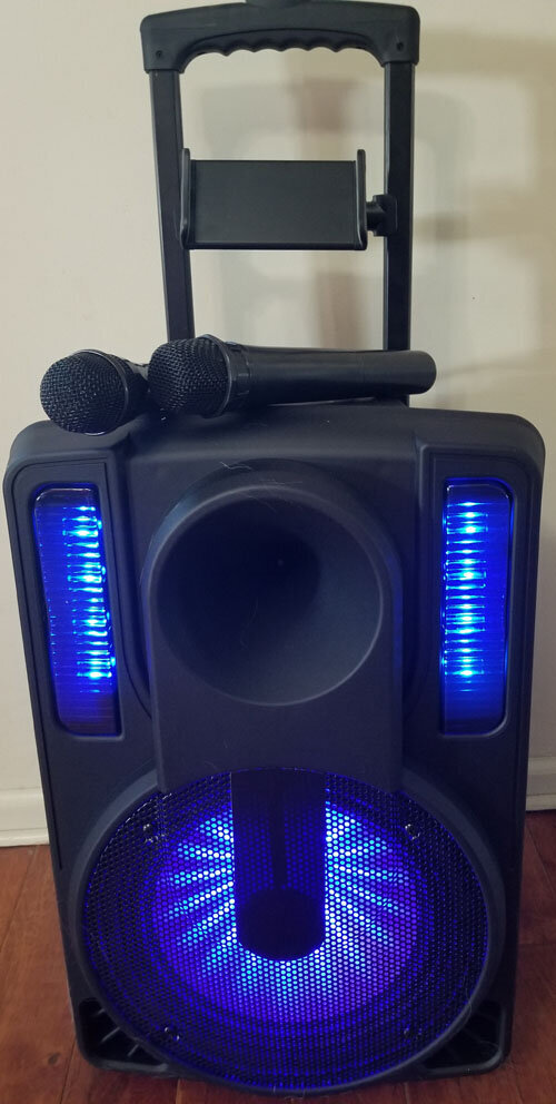 Karaoke Machine for Kids & Adults — Carnival Times