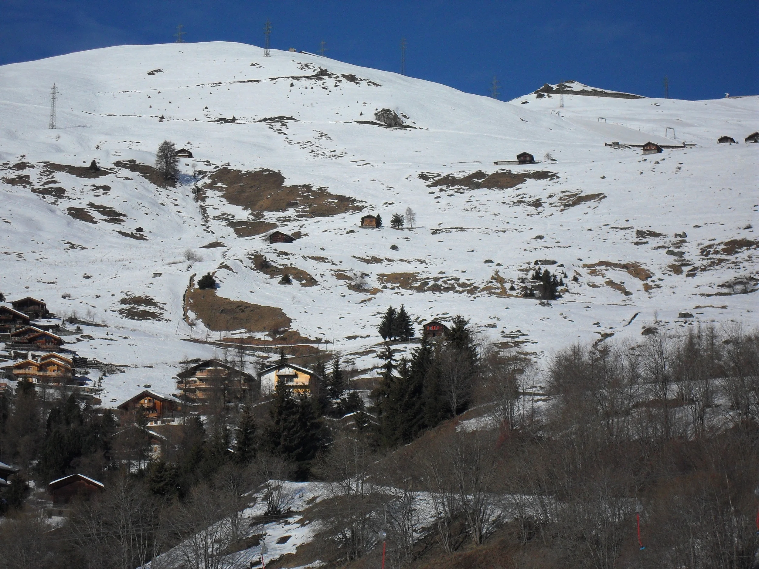 SDC11606.JPG