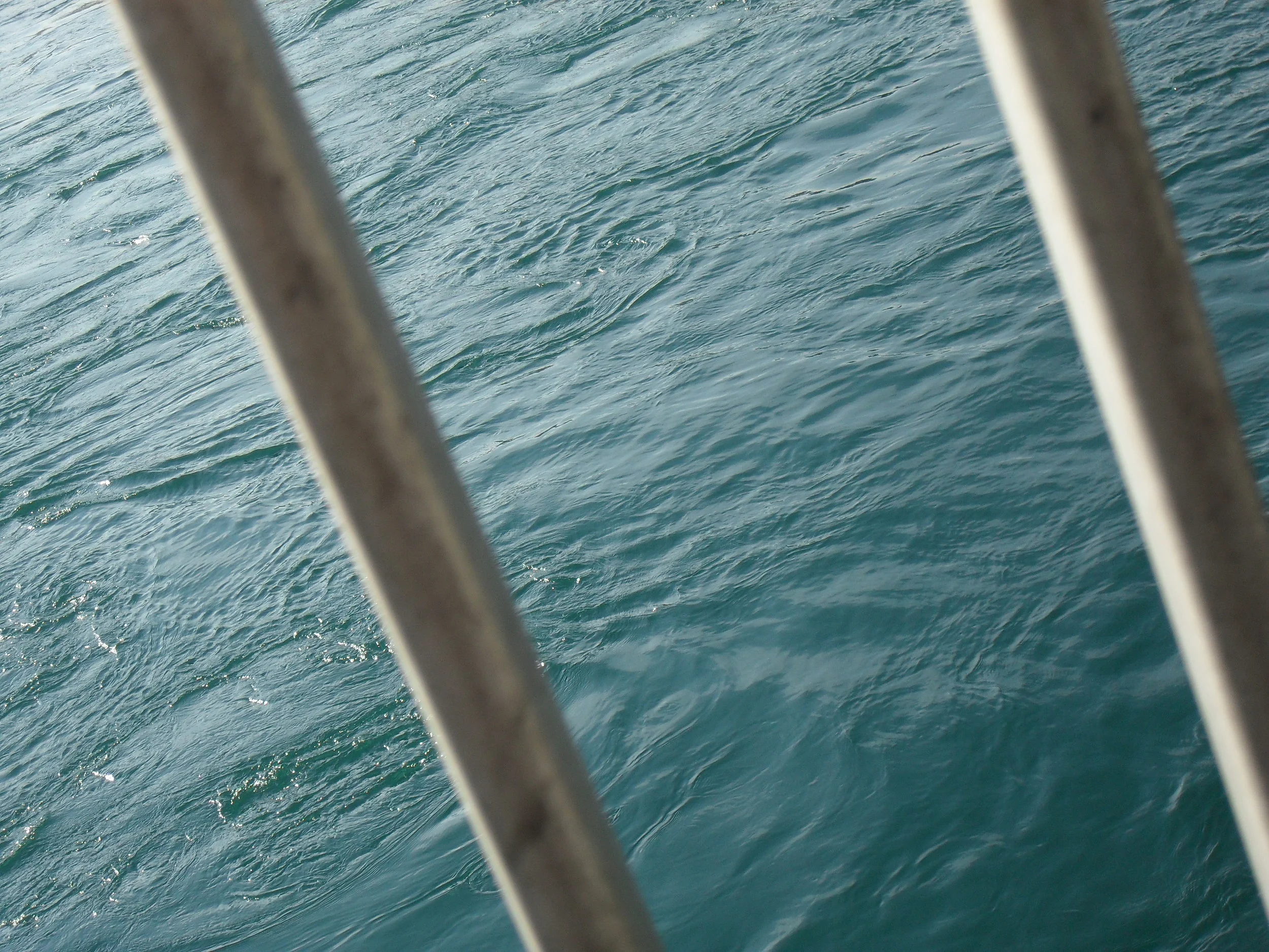 SDC11790.JPG