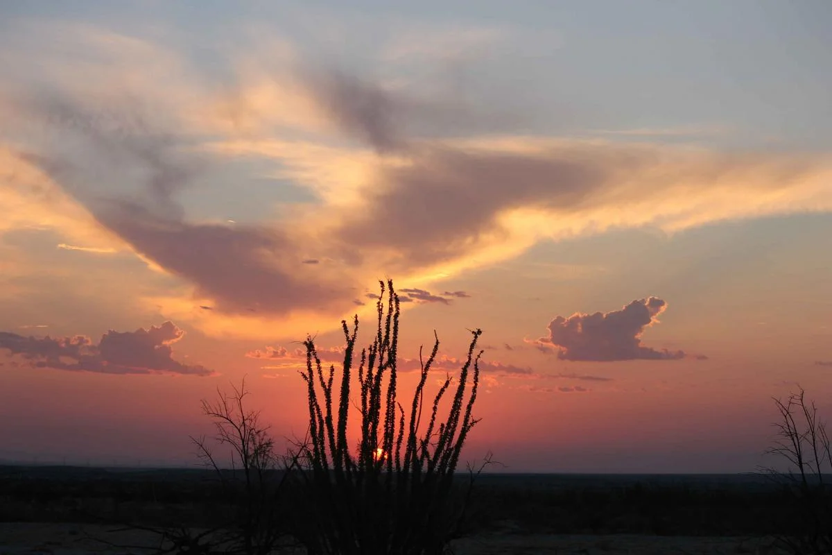 ocotillosunset.jpg