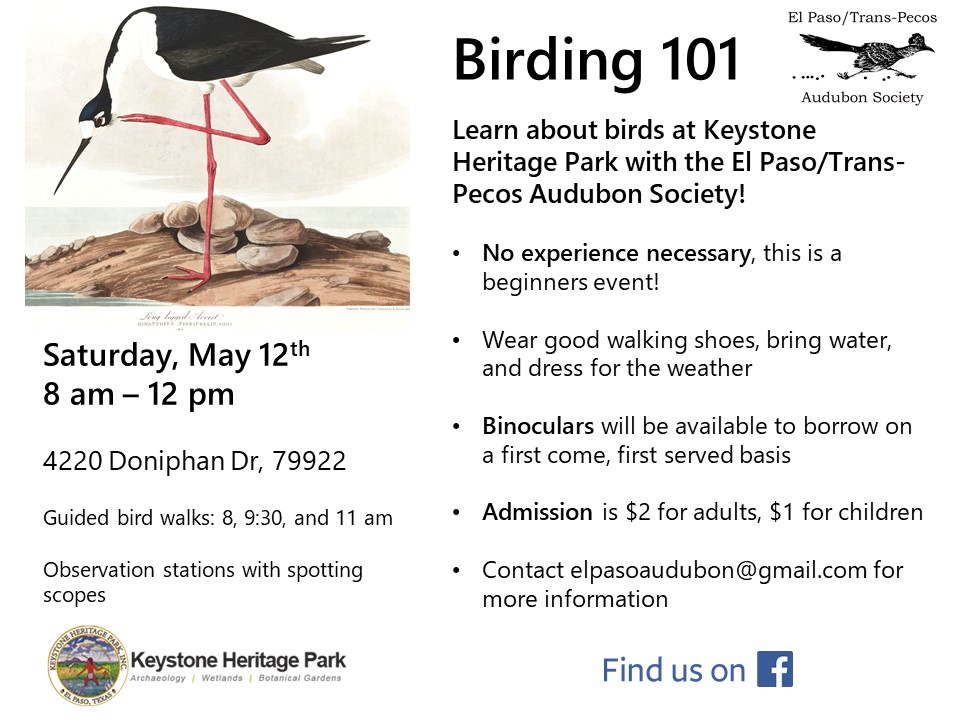 Birding101 flyer -May 2018.jpg