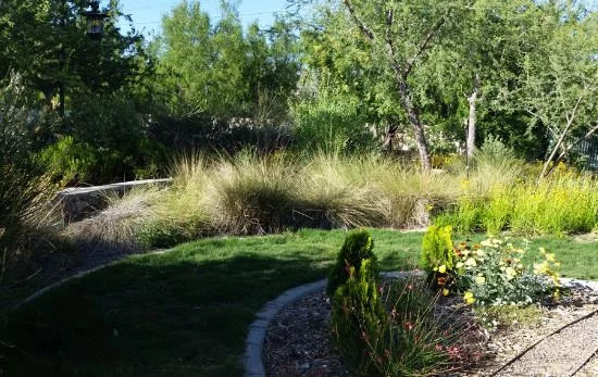 Photo courtesy of Trip Advisor