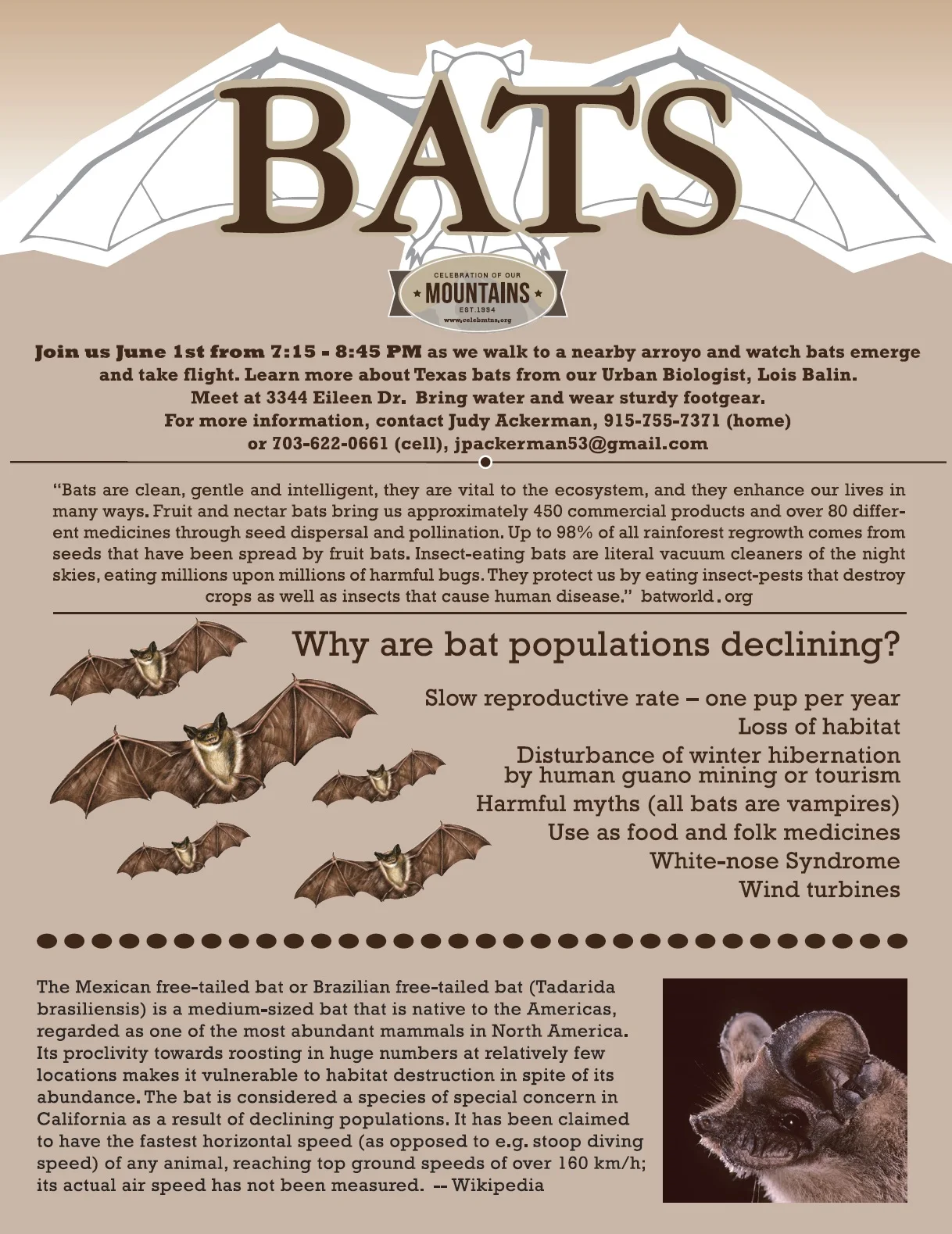 Bat flyer.jpg