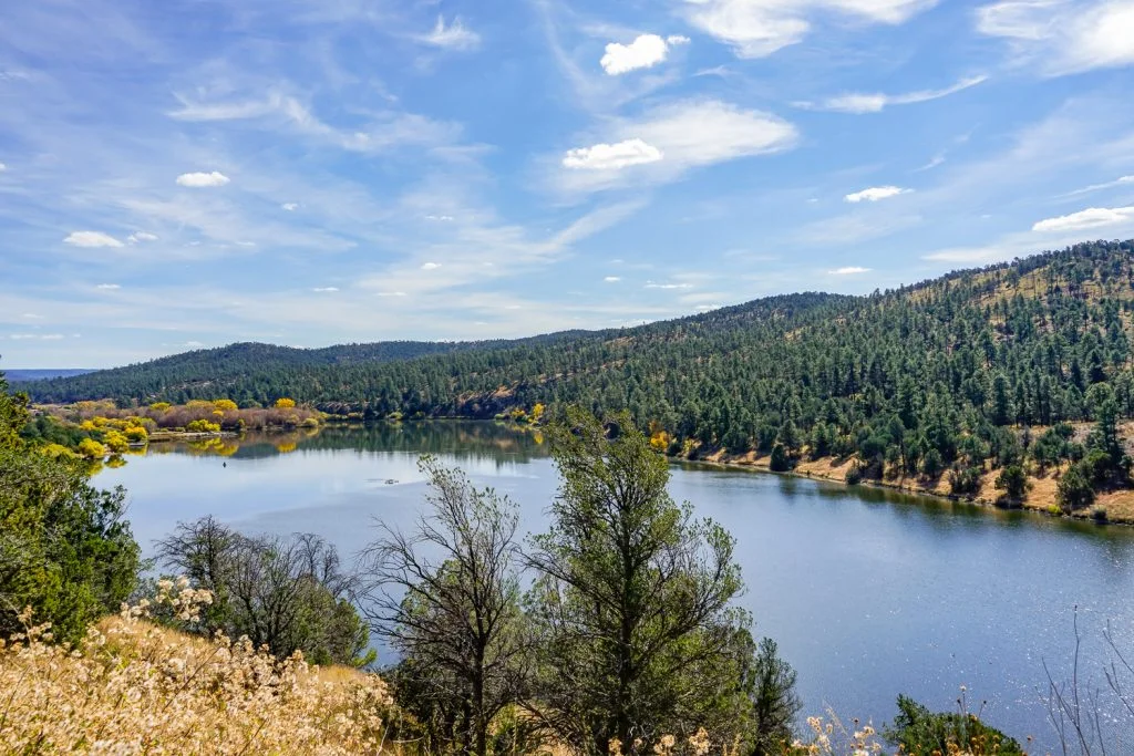 Lake Roberts, NM