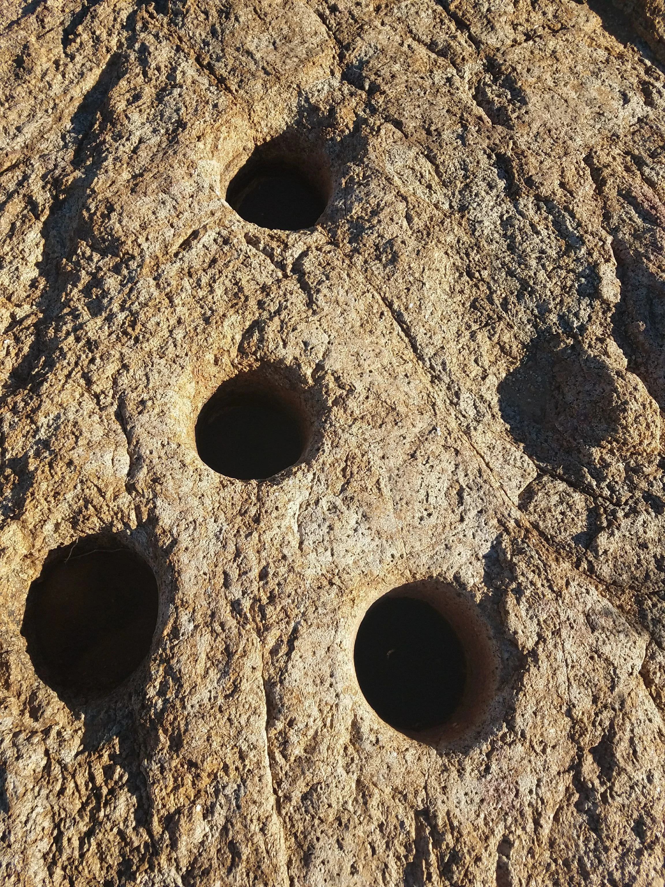 100717 Fence Trail-Amanda R.jpeg