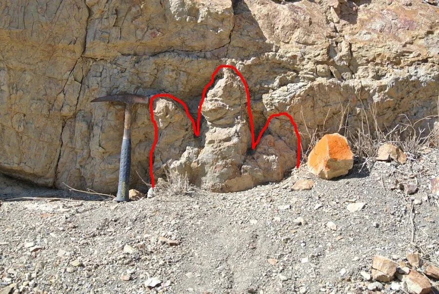 Dino Tracks.jpg