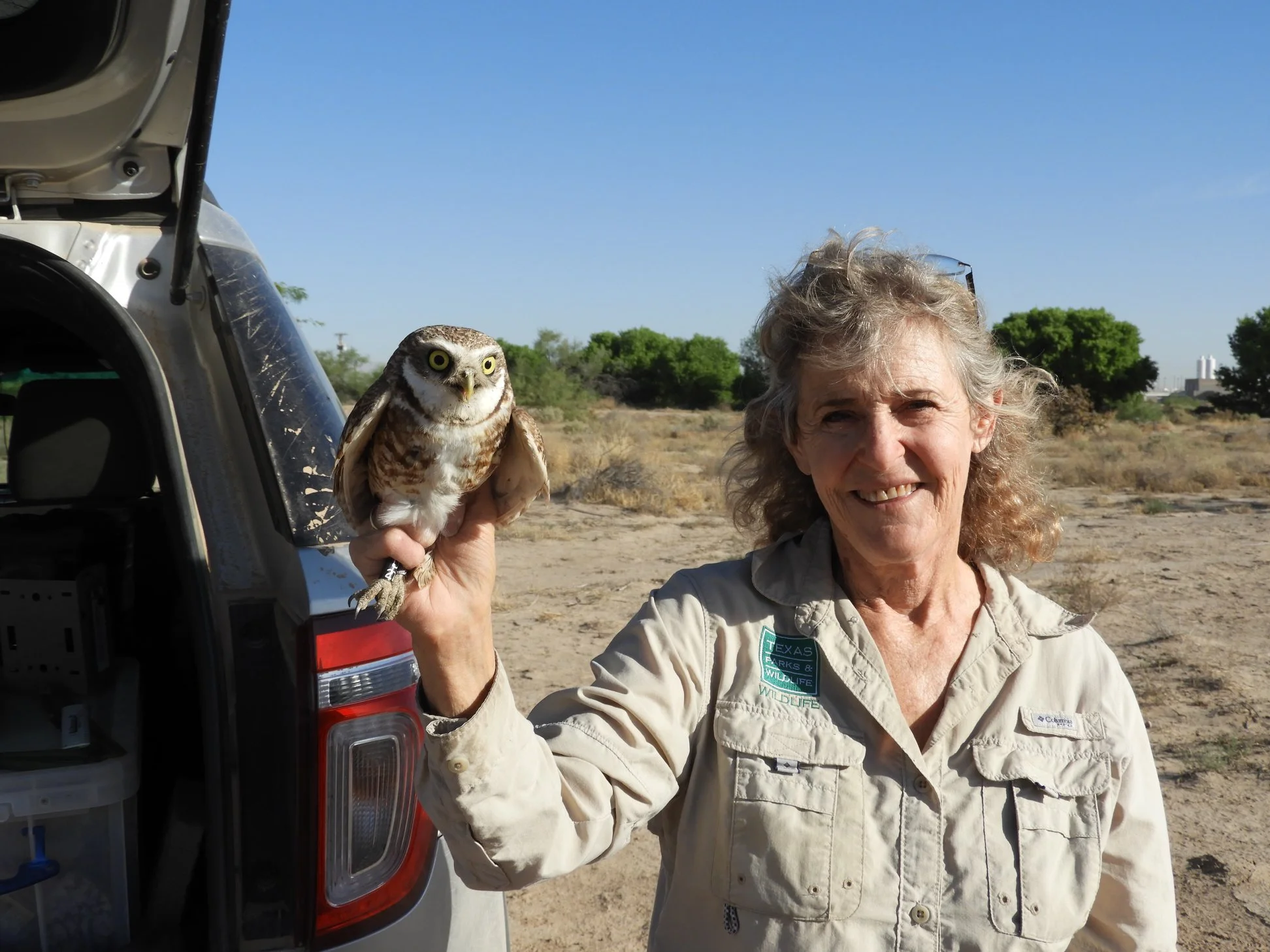 Urban Wildlife Biologist, Lois Balin, with a Burrowing Owl