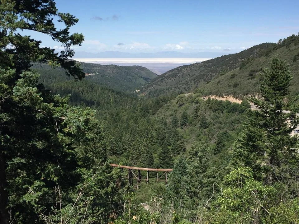 Cloudcroft Trestle by Janet Perkins