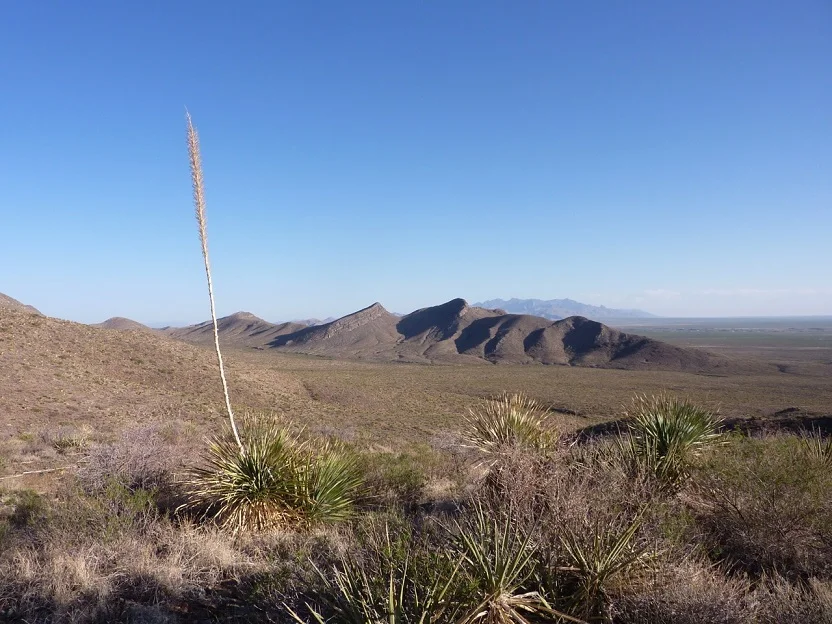 gregsrunningadventures.blogspot.com/2012/05/quest-for-northern-pass.html