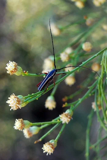 Photo by Shu Y. Mayr, 2017