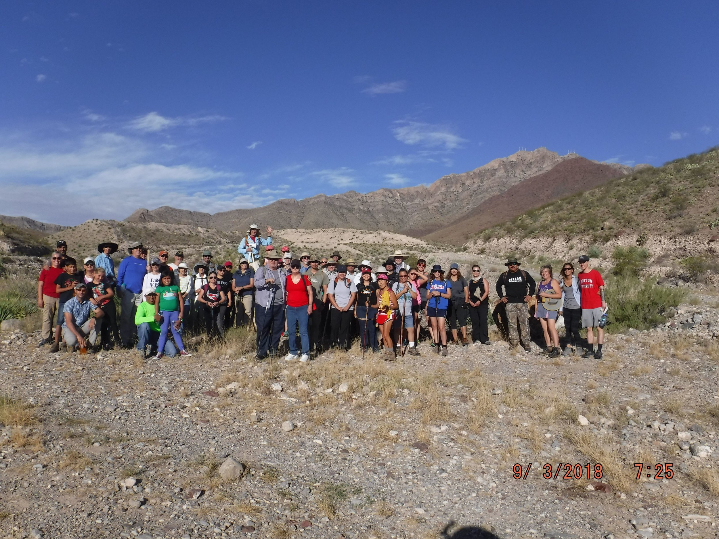 Picture by Carol Brown