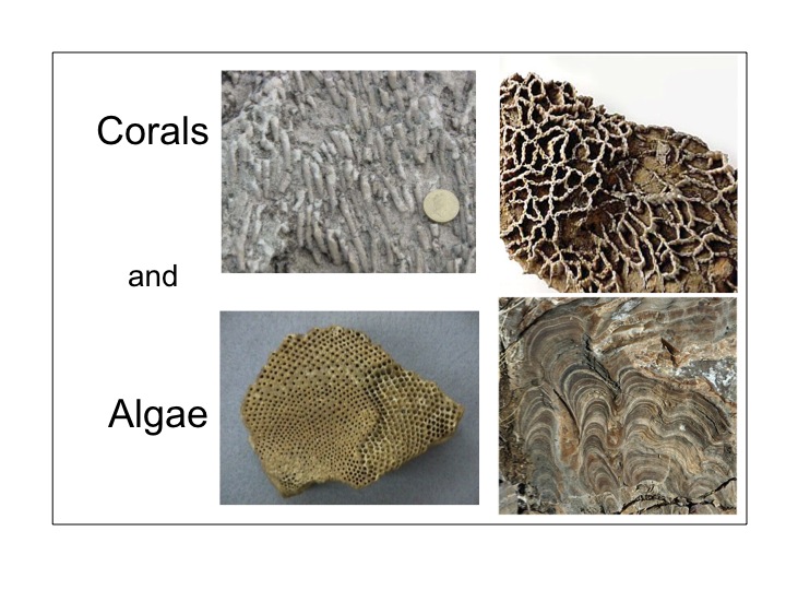 Slide2.jpg