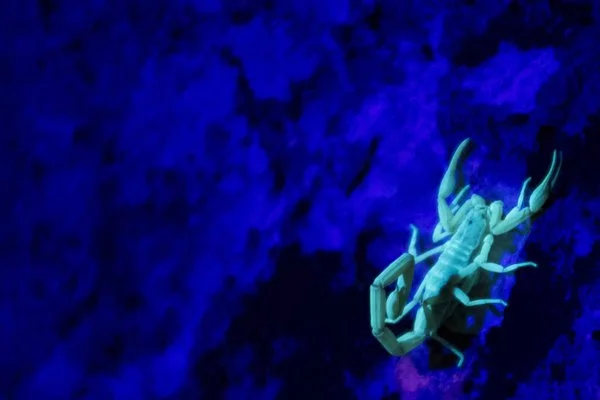 Who's Running 0910164.jpeg