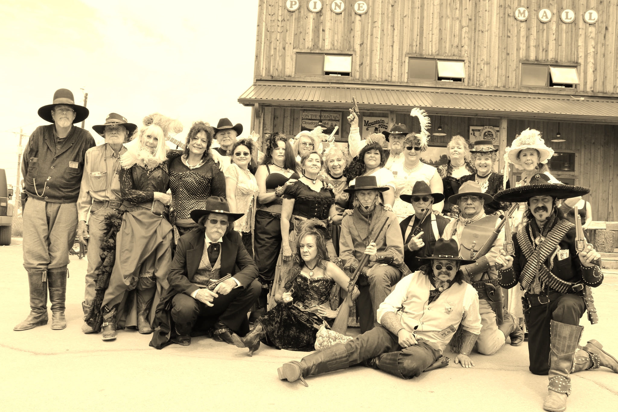 Six Guns &amp; Shady Ladies