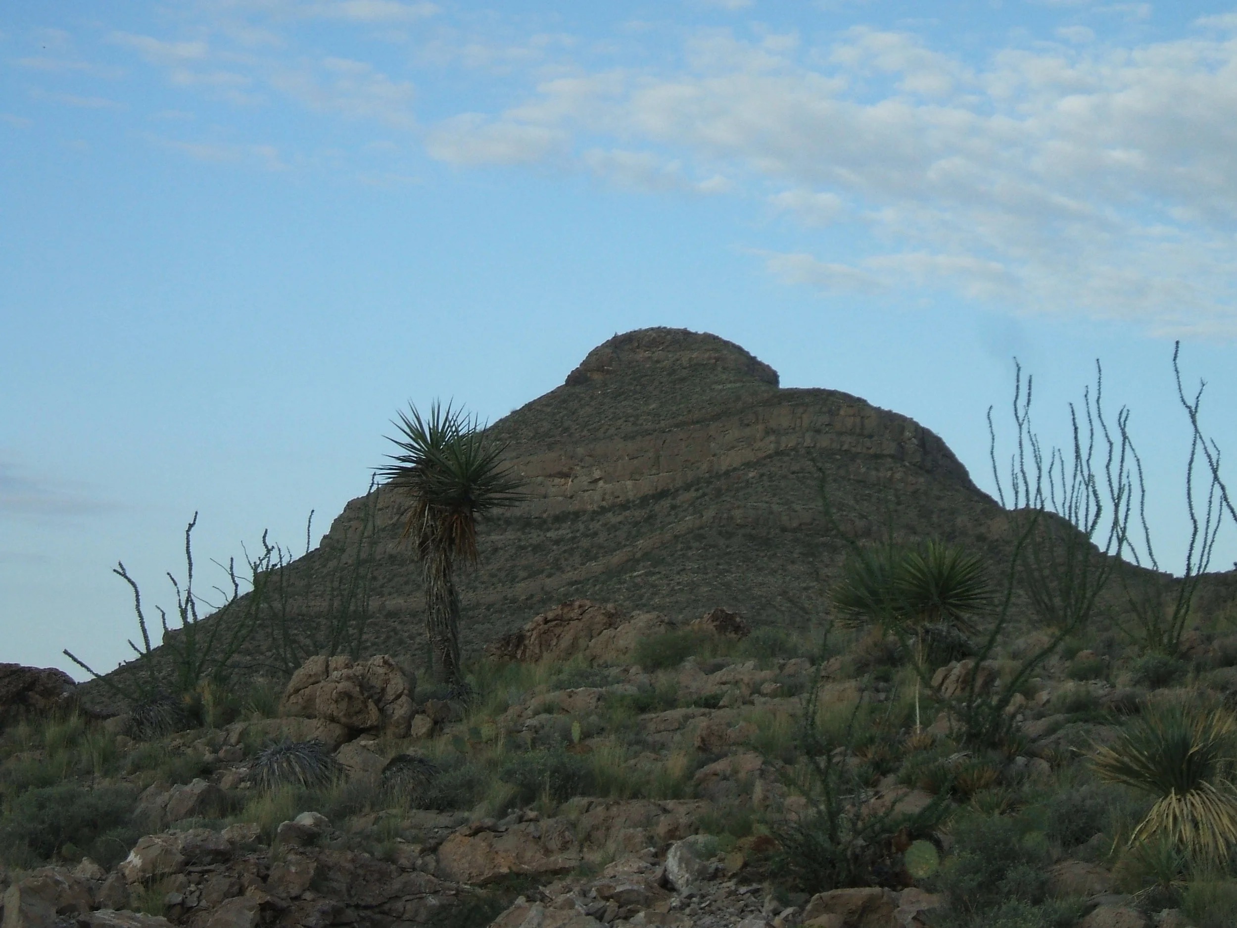 Bishops Cap 1 (2).JPG