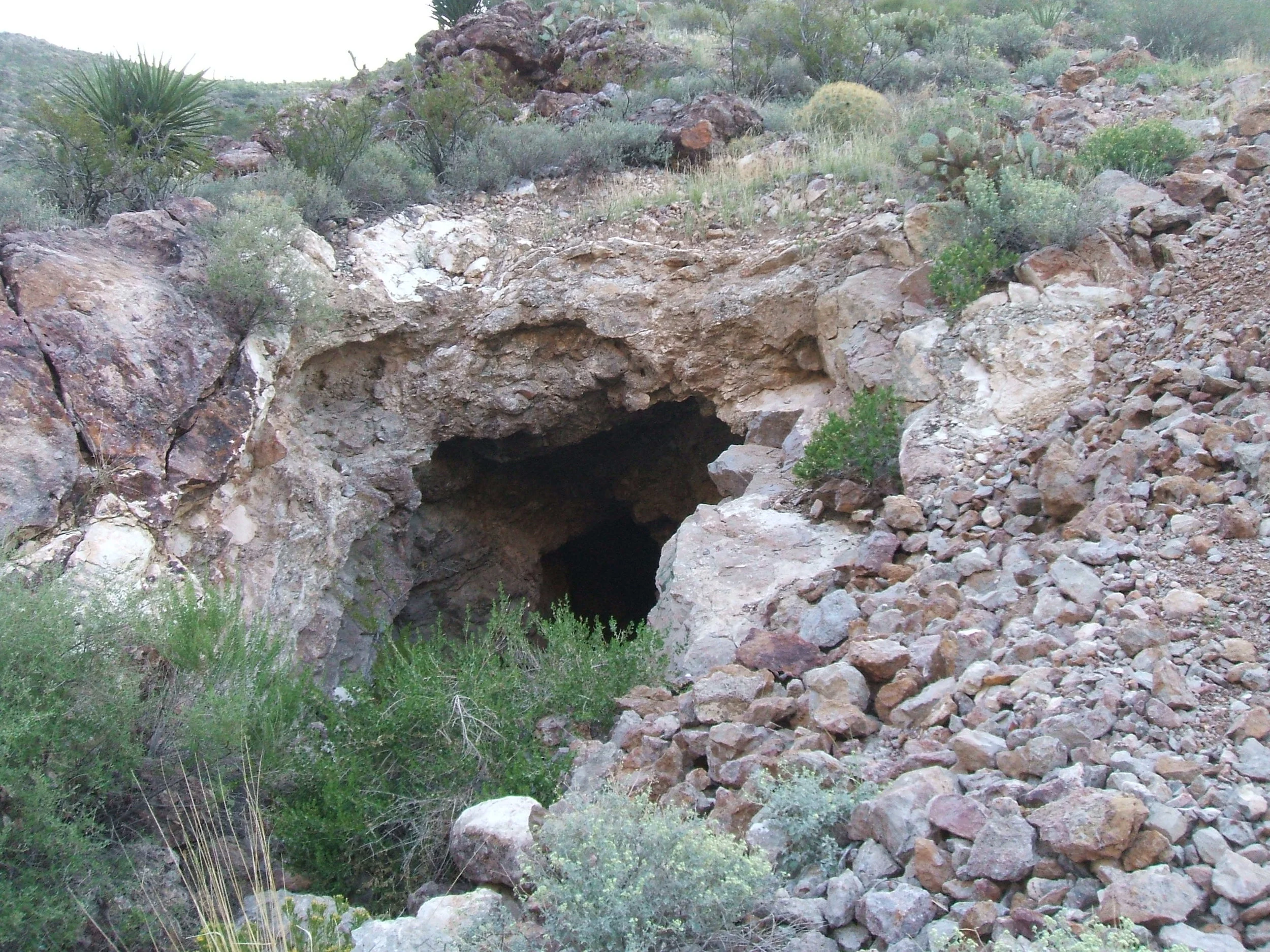 Bishops Cap 1 (1).JPG