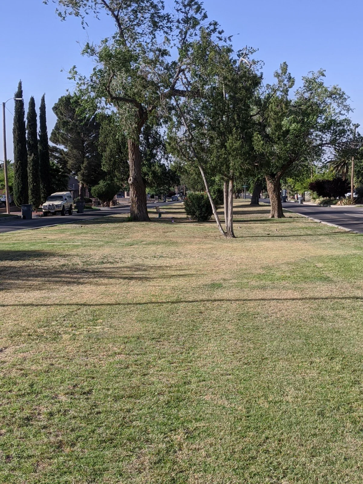Looking south from Hastings along Raynolds Ave.