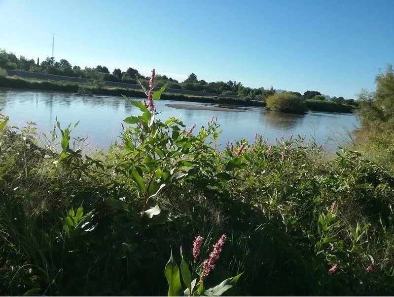 River Park Trail. Photo by Destination El Paso