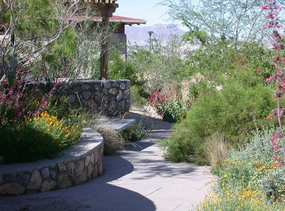 Photo by Scott Cutler