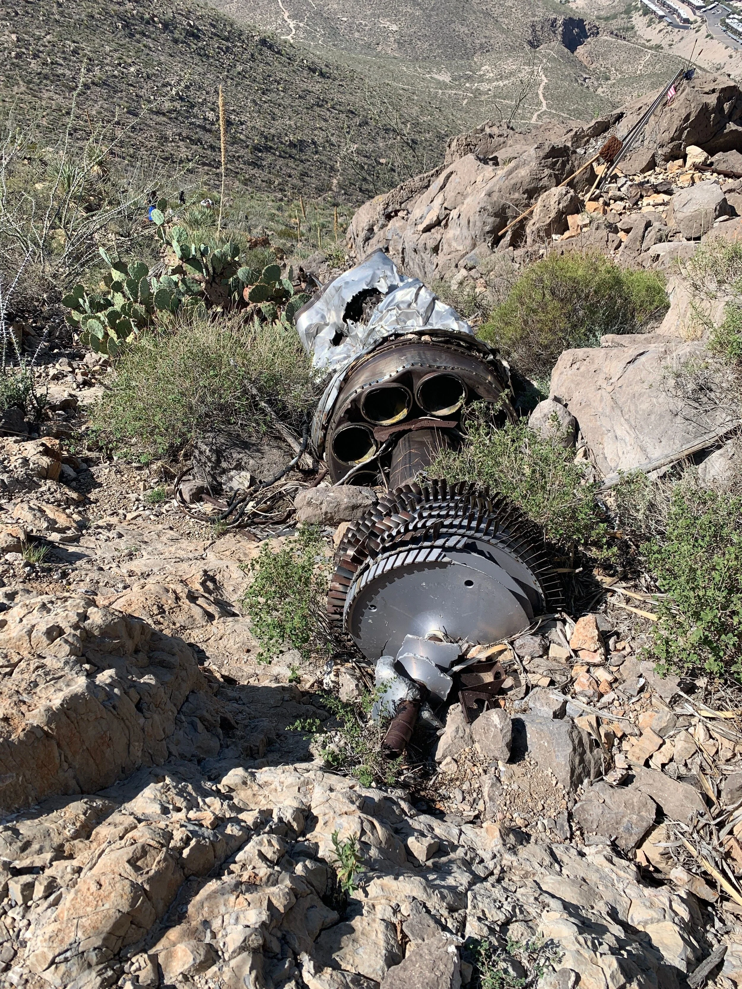 Photo by Thomas Dykes