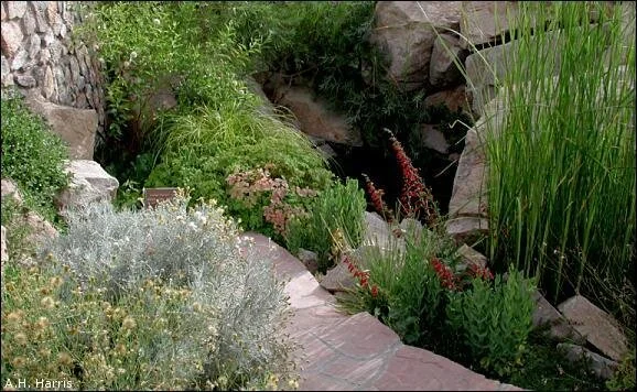 Photo by H. Harris, KTEP