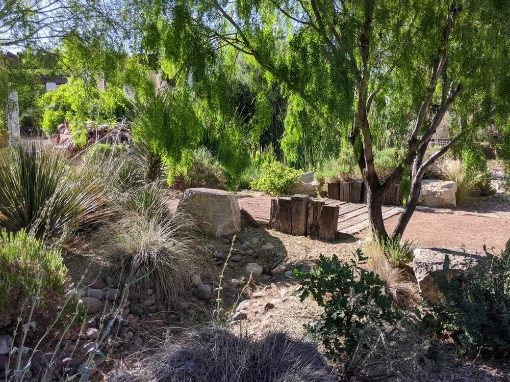 el+paso+desert+botanical+garden.jpg
